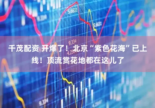 千茂配资 开爆了！北京“紫色花海”已上线！顶流赏花地都在这儿了