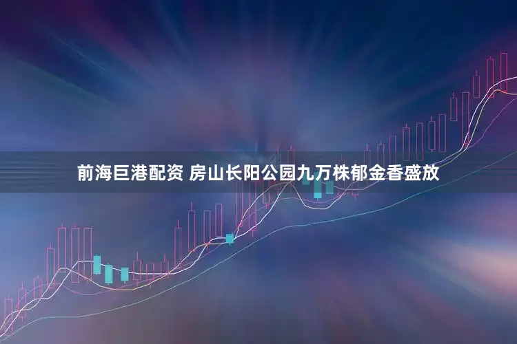 前海巨港配资 房山长阳公园九万株郁金香盛放